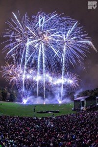 Vilniaus Fejerija 2015 D12