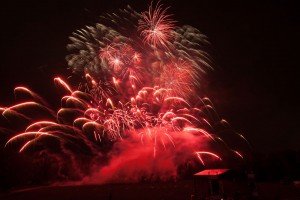 Vilniaus Fejerija 2015 D13