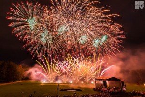 Vilniaus Fejerija 2015 D20  