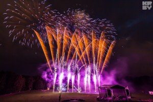 Vilniaus Fejerija 2015 D29  